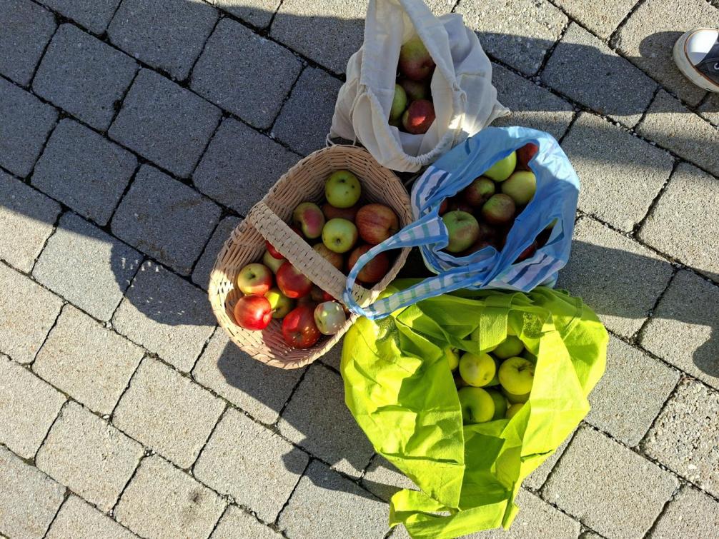 Bild zeigt verschiedene Taschen mit Äpfeln
